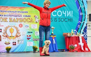 «Кубок Барбоса»: для дружбы не важна порода!